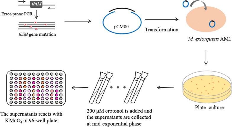 Fig. 4