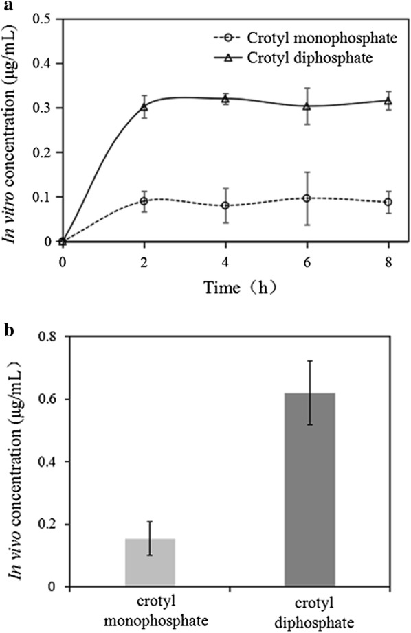 Fig. 8