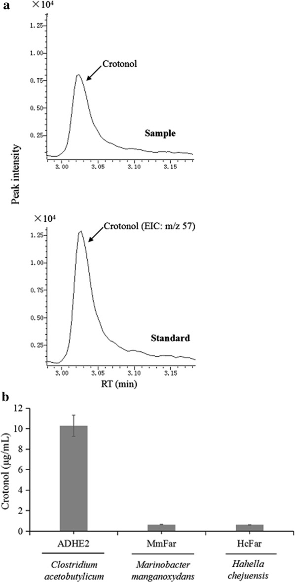 Fig. 7