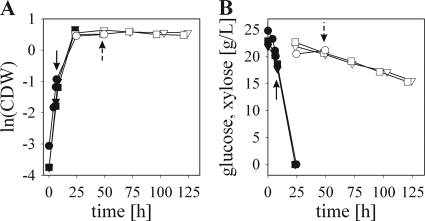 FIG. 1.