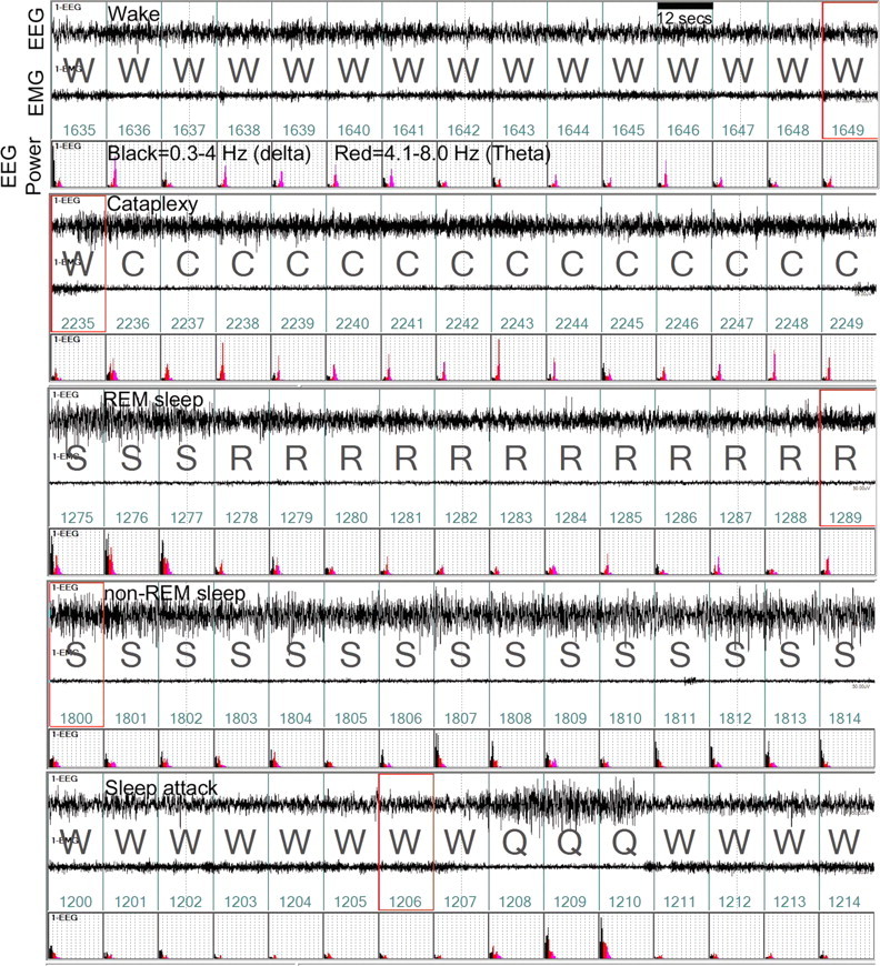 Figure 5.