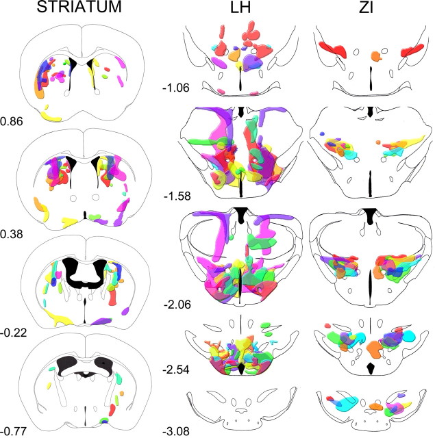 Figure 2.