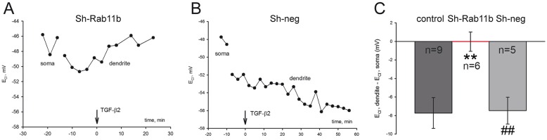 Fig. 8.