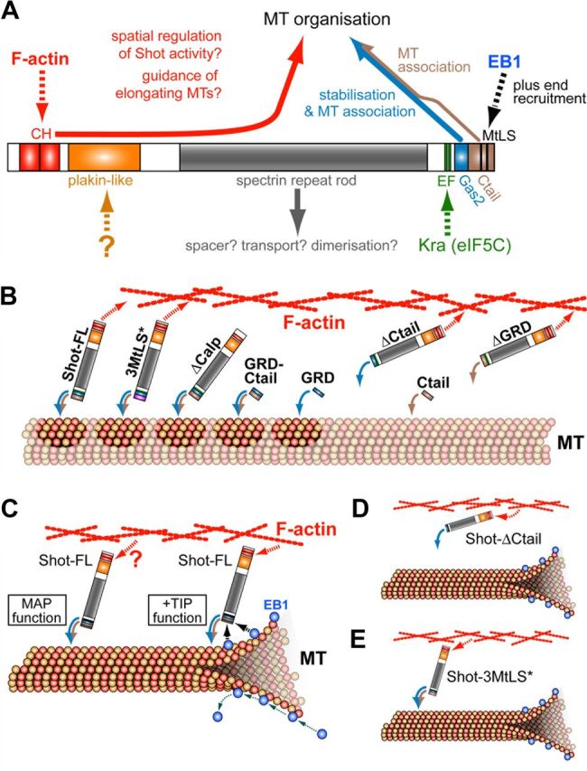 Figure 10.