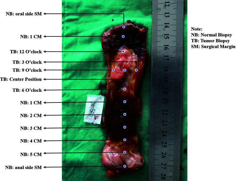 Figure 1