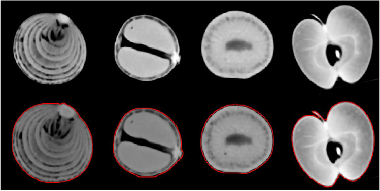 Fig. 2