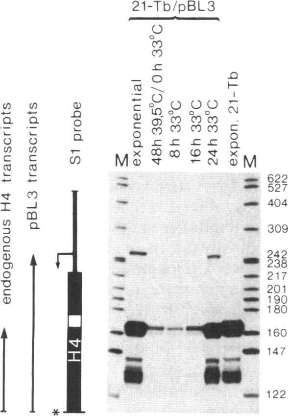 graphic file with name pnas00353-0098-a.jpg