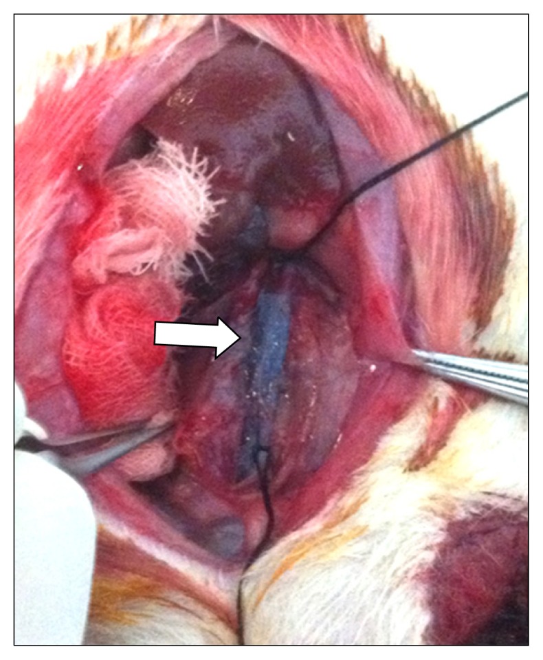 Fig. 2