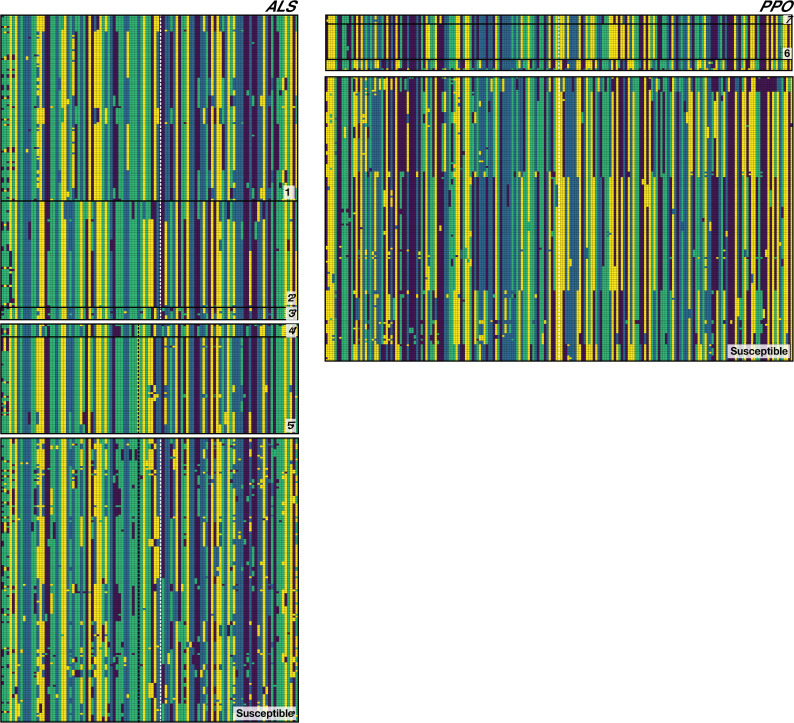 Figure 2—figure supplement 4.