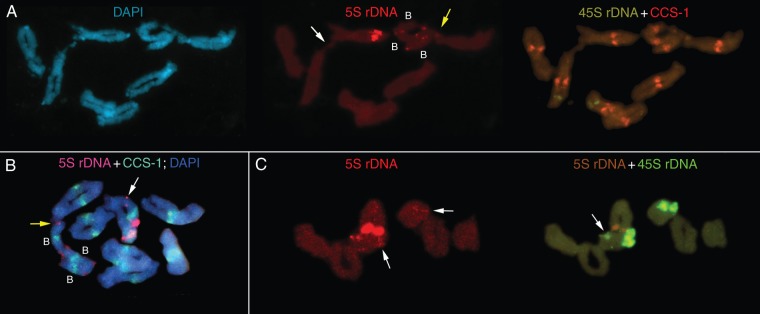 Fig. 3.