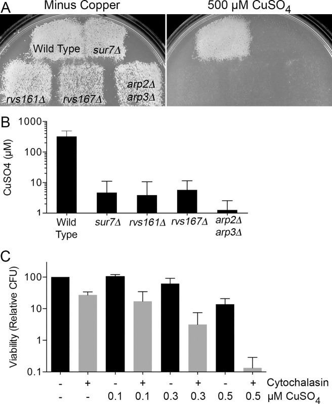 Fig 4