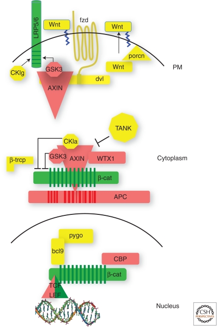 Figure 1.