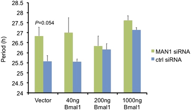 Figure 4—figure supplement 2.