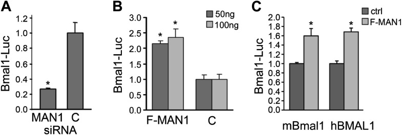 Figure 6.