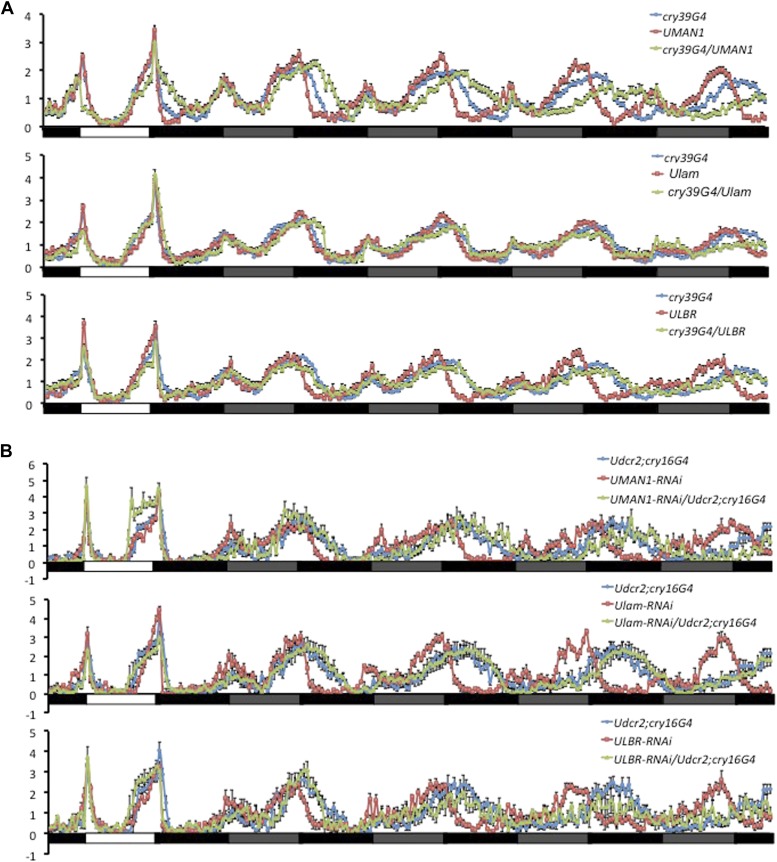 Figure 2—figure supplement 1.