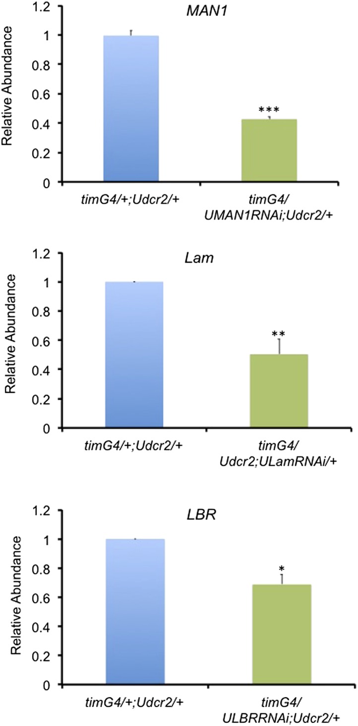 Figure 2—figure supplement 2.