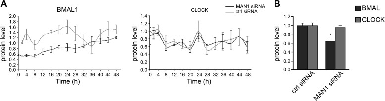 Figure 4—figure supplement 1.