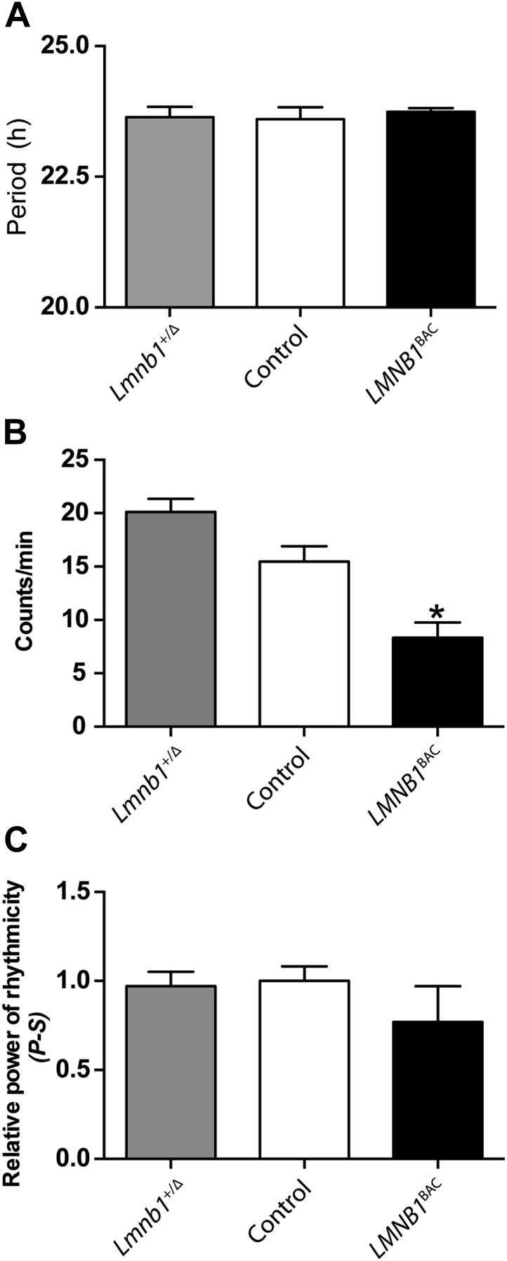 Figure 1—figure supplement 1.