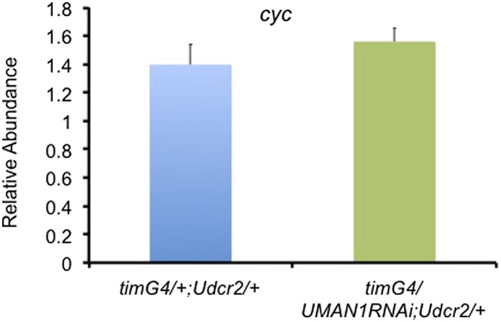 Figure 5—figure supplement 1.