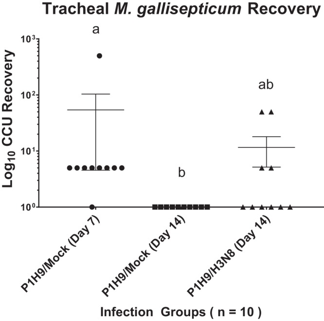 FIG 3