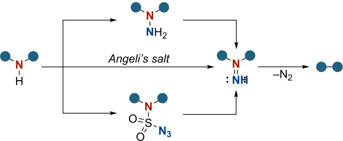 Scheme 2