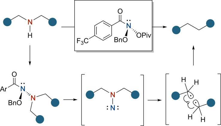 Scheme 3