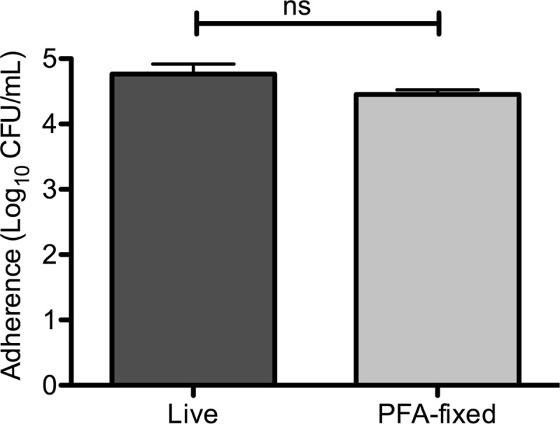 Fig 4