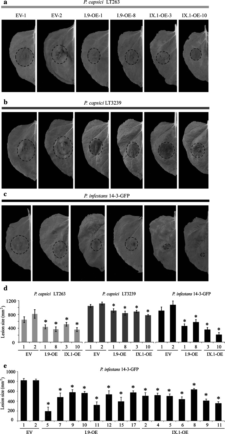 Fig. 4