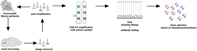Figure1.