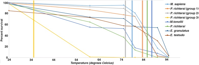 Fig. 5