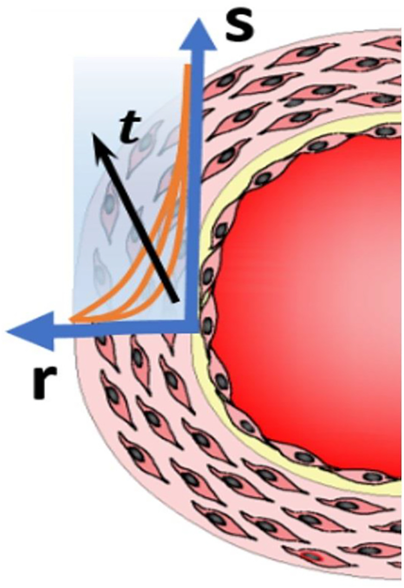 Fig. 3.