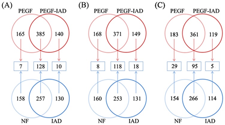 Fig 5