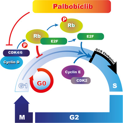 FIGURE 3