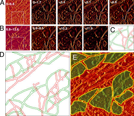 Figure 6.