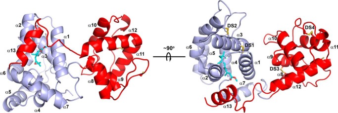 Figure 5.