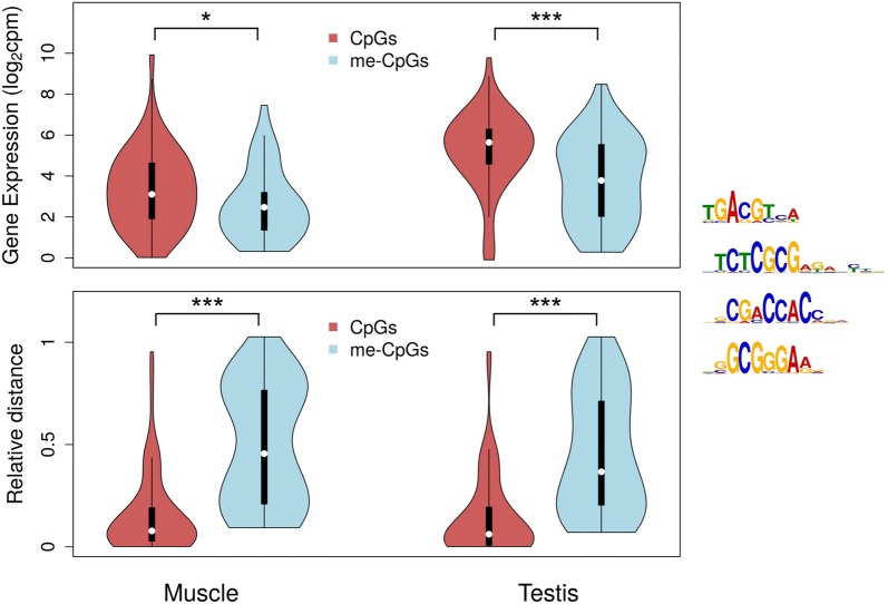 Fig. 4