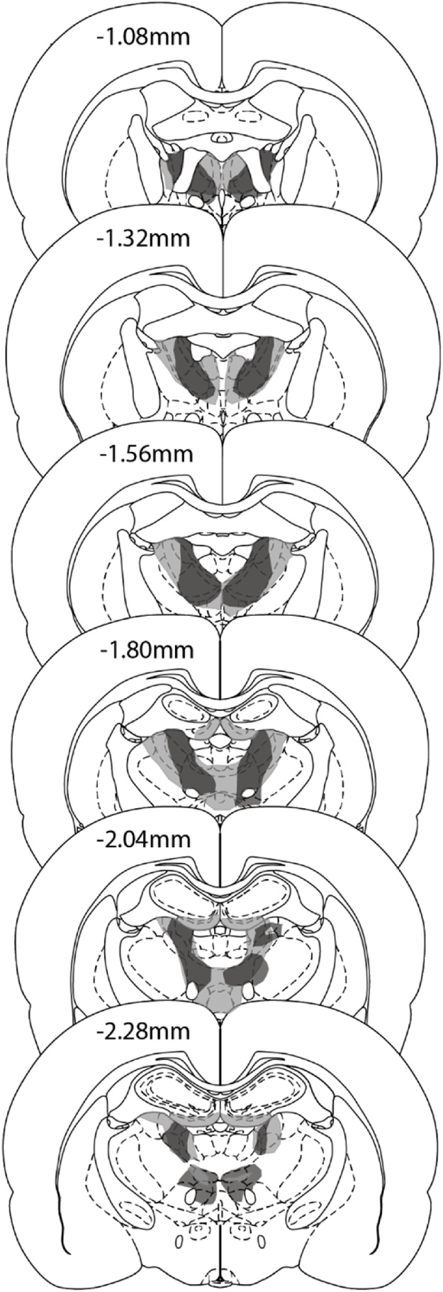 Fig. 8