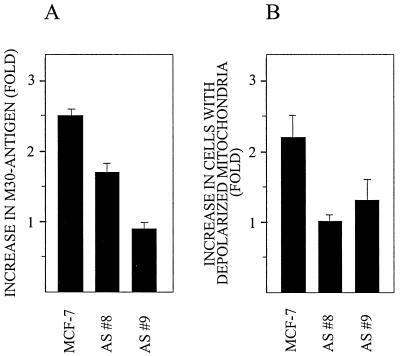 FIG. 10