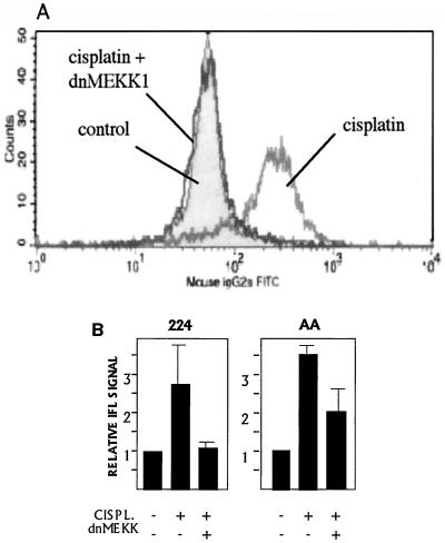 FIG. 7