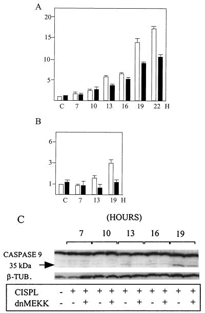 FIG. 6