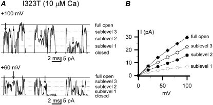 FIGURE 4