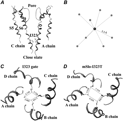 FIGURE 9