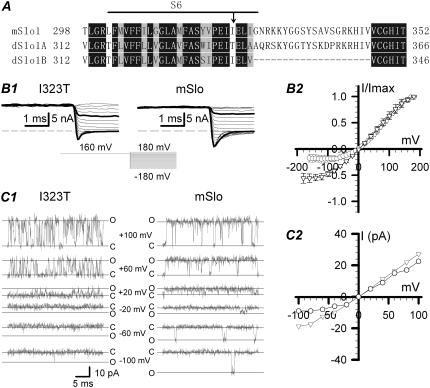 FIGURE 1