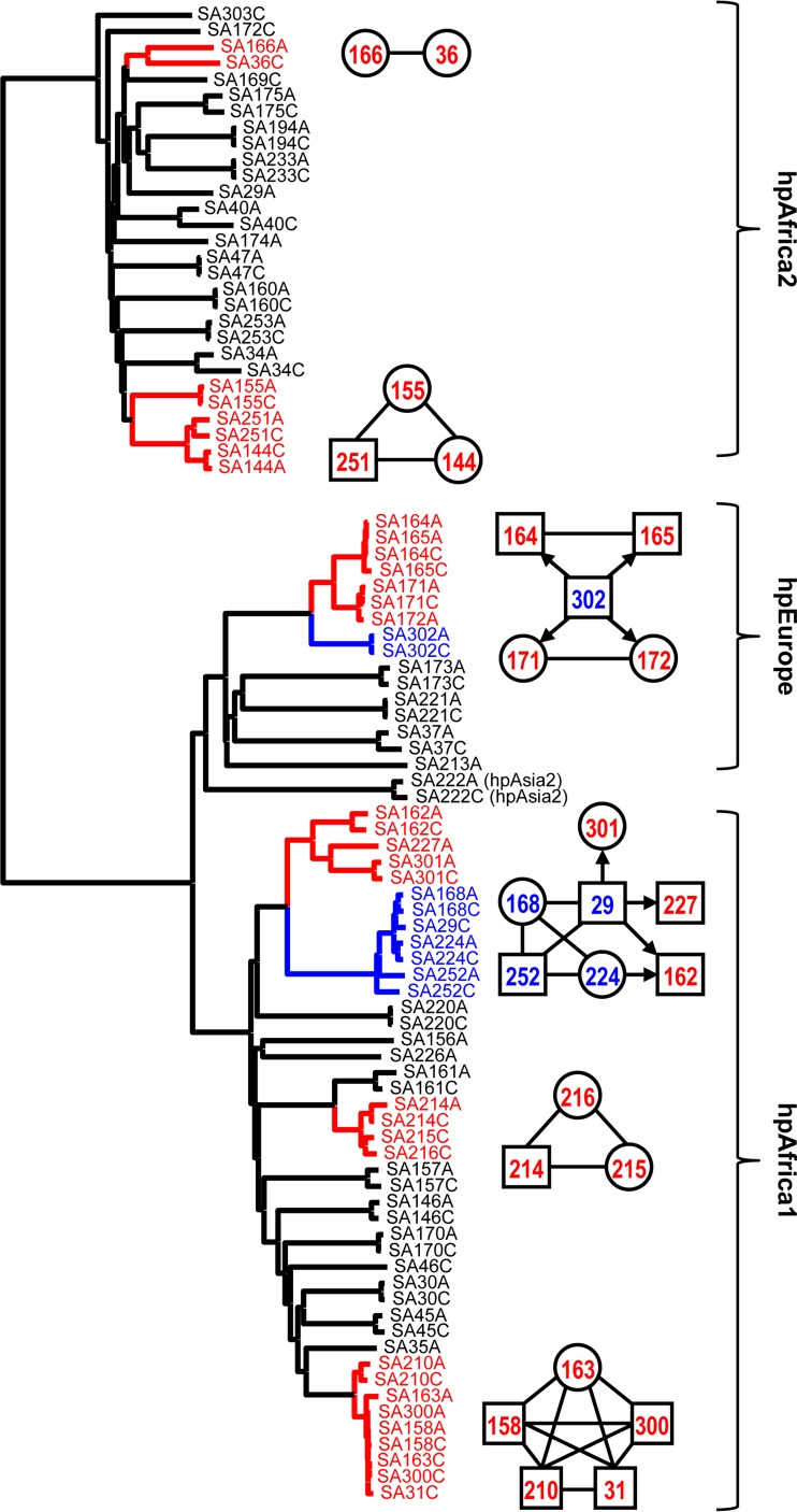 FIG 3