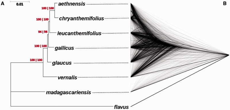 Fig. 1.—