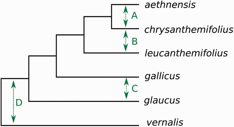 Fig. 2.—