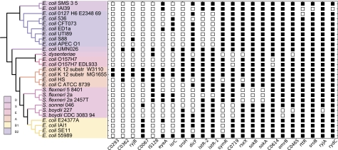 Fig. 2.—