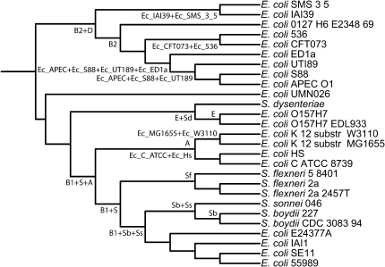 Fig. 3.—