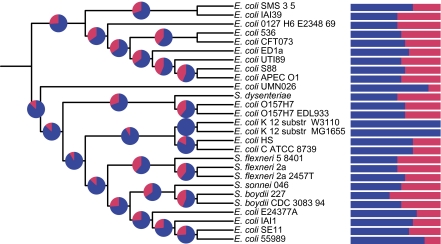 Fig. 4.—