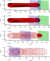 Fig. 4